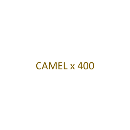 Image de CAMEL - Filtre x 400