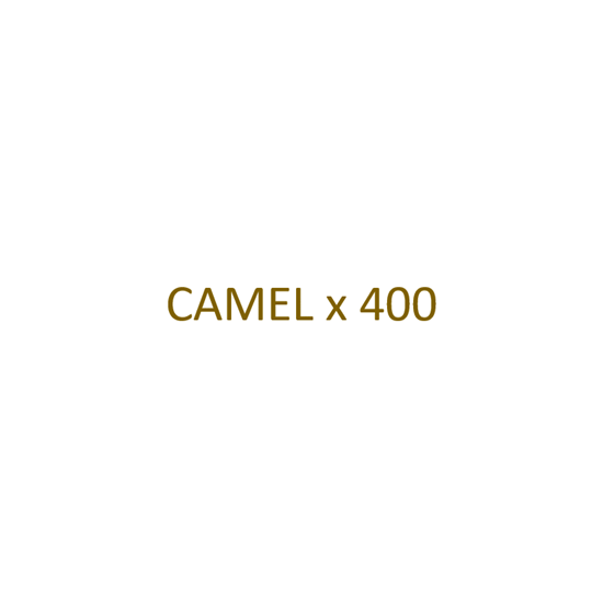 Image sur CAMEL - Filtre x 400